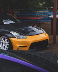 Image 3 of Lowlife flame banner 