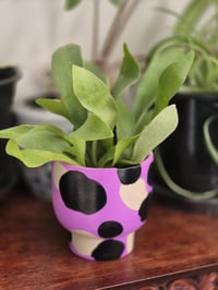 Image 3 of Hand-painted Porcelain Planters