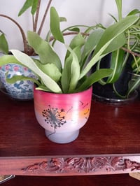 Image 1 of Hand-painted Porcelain Planters