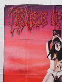 Image 2 of CRADLE OF FILTH - Desire me like Satan Flag (cloth poster Banner tapestry) Black metal