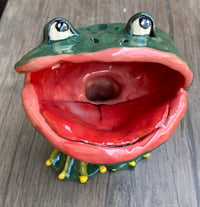 Image 1 of Weird Frog Soap Holder