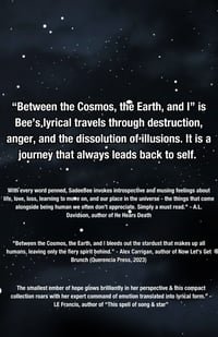 Image 4 of Between the Cosmos, the Earth, and I