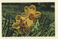 Image 1 of Two Daffodils Postcard