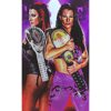 Autographed 11x17 - Vic_Tara Double Champion Collage