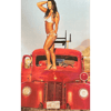 Autographed 11x17 - WWE Divas Desert Heat Bare Feet On Truck 