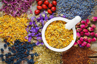 Image 1 of One Pound Sonia Blend