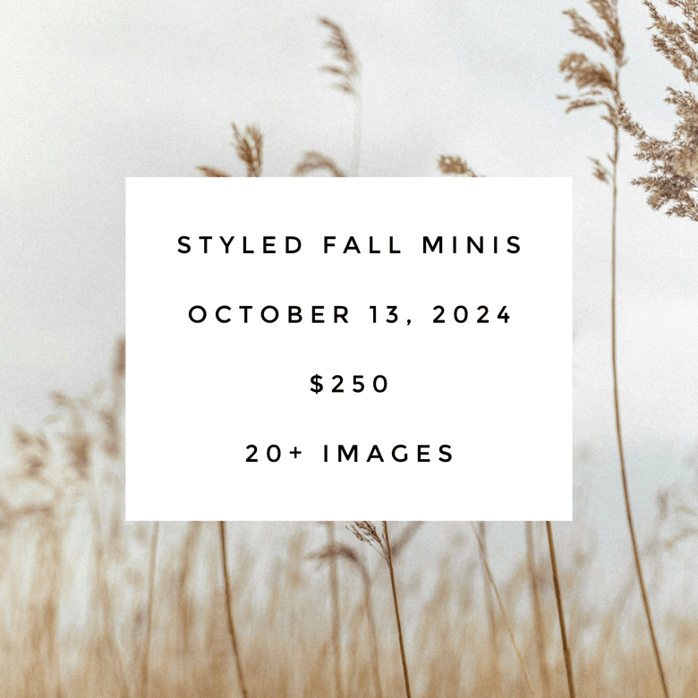 Image of Styled Fall Minis 10.13.24