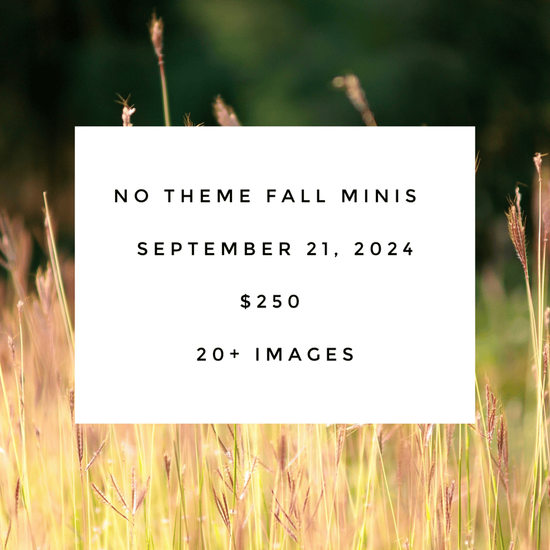 Image of No-Theme Fall Minis 9.21.24