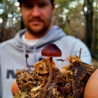 Image 2 of Exploration & Photography Workshop <br>( 6 - HOURS )</br>