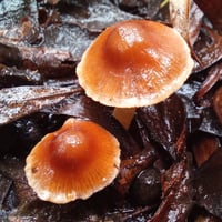 Image 3 of Exploration & Photography Workshop <br>( 6 - HOURS )</br>