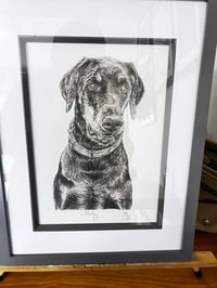 Private Commissions