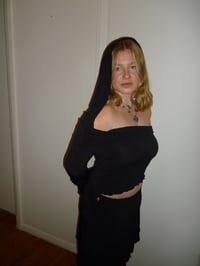 Image 4 of Telesonix Hood (Made to Order)