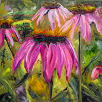 “A Coneflower Summer”