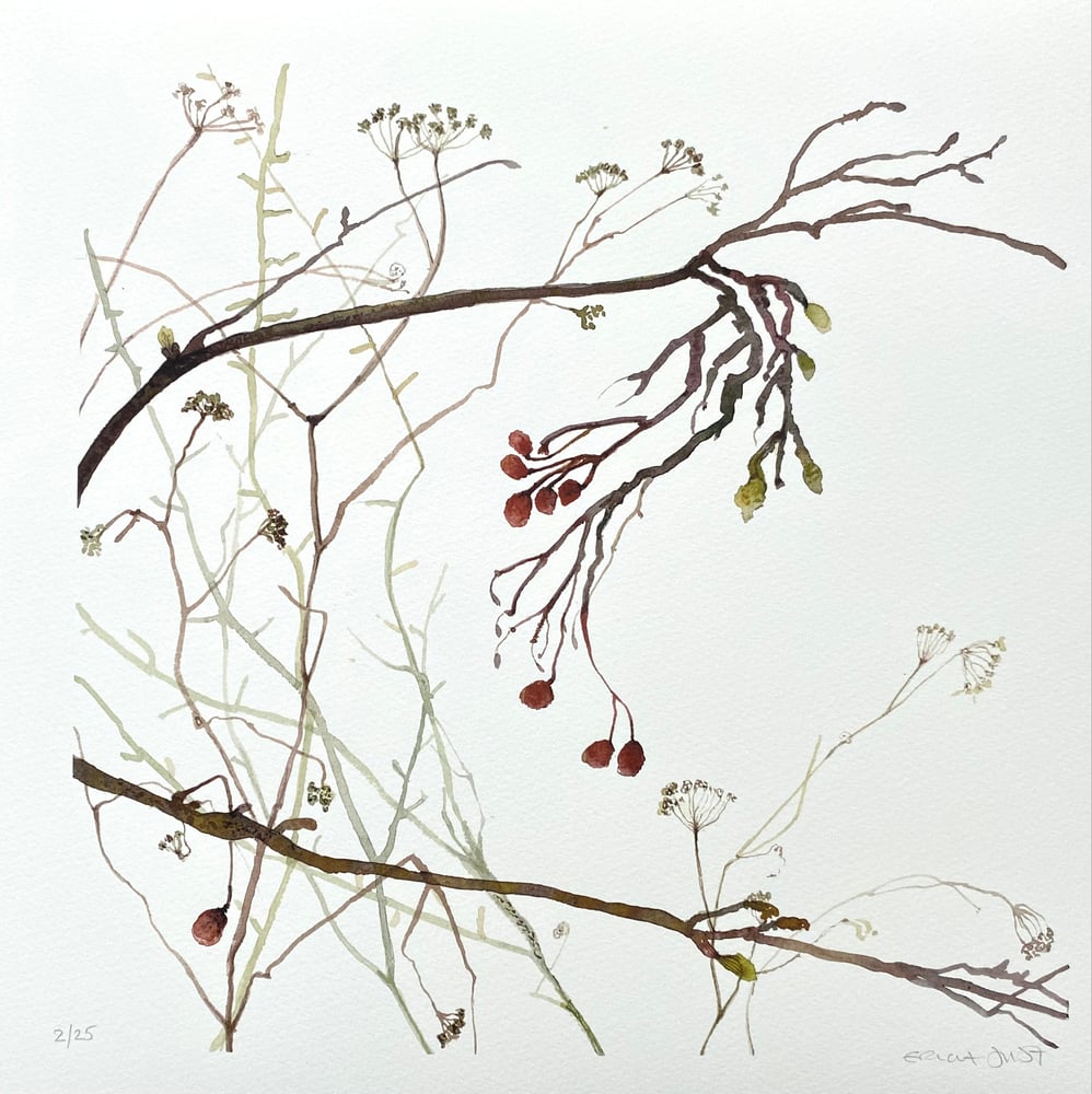 Image of Branches and Berries