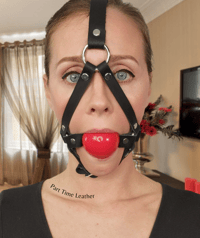 Image 1 of Bondage Classic Leather Head Harness  Ball Gag 