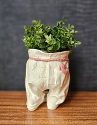 Image 2 of Bambino Legs Planter