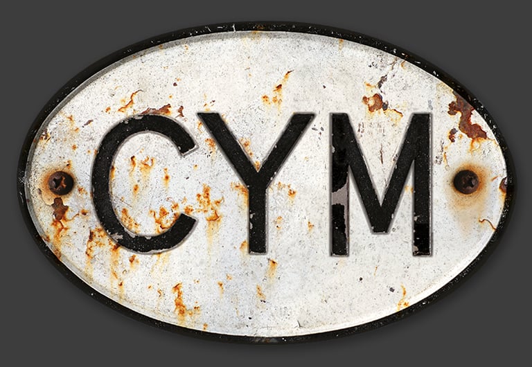 Image of Magnetic MYM Wales badge - Patina'd 170x110mm