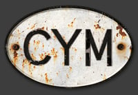 Magnetic MYM Wales badge - Patina'd 170x110mm