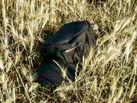 Wool asymetric cap