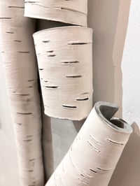 Image 2 of Birch Bark Scroll ll