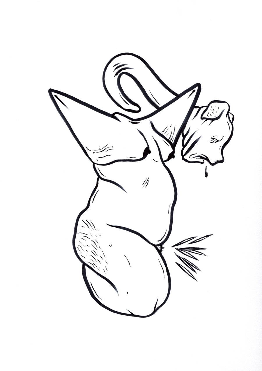 Image of VUELA VUELA