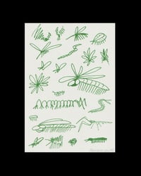 Insectos print
