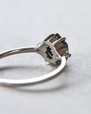 Image of Platinum, Hexagonal dark grey diamond Trilogy ring