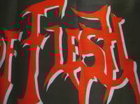 Image 6 of DEEDS OF FLESH - Trading pieces Flag (cloth poster Banner tapestry) Death metal