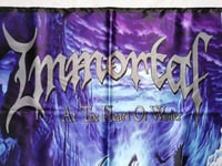 Image 4 of IMMORTAL - At the heart of winter Flag (cloth poster Banner tapestry) Black metal Burzum
