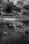 Image of Dorland Mountain (CA) Lake Ticanu, Black & White, 2024 
