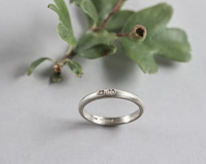 Image of 9ct white gold 3mm matte finish ring