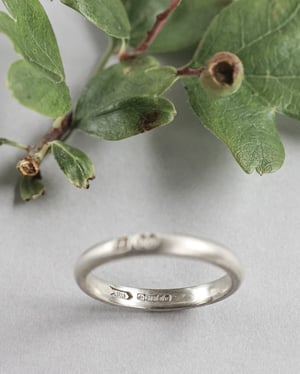 Image of 9ct white gold 3mm matte finish ring