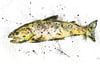 Brown Trout... Limited Edition Giclee Prints and Original