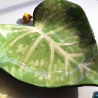 Image 3 of Philodendron gloriosum ☆ trinket tray