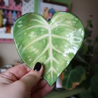 Image 4 of Philodendron gloriosum ☆ trinket tray