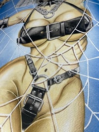 Image 4 of Orb Weaver Original Painting