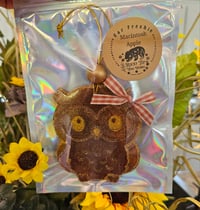 Image 2 of Brown girly owl feeshie with bow and bead - Macintosh apple....thinner size 
