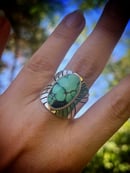 Image 2 of Lily Pond Turquoise Ring, Size 9.5