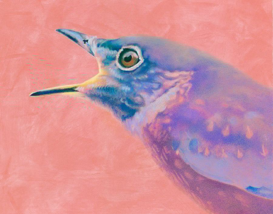 Image of Bluebird #9 - Pastel