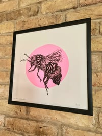 Queen Bee Framed