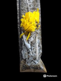 Image 1 of Calm and Relaxing Cleansing Mixture with incense stick 