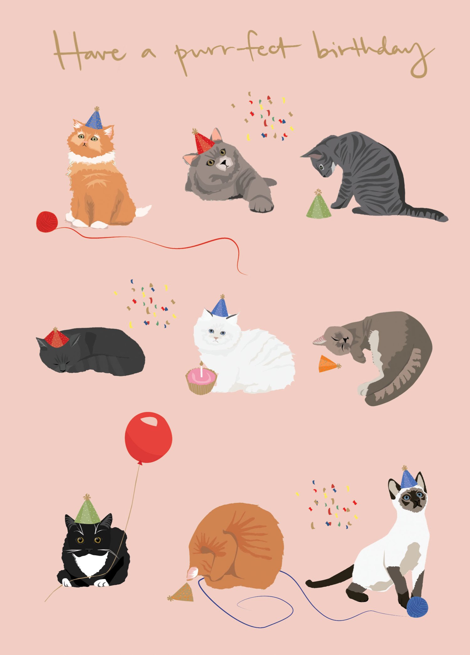 Image of Cats in Hats Birthday Card