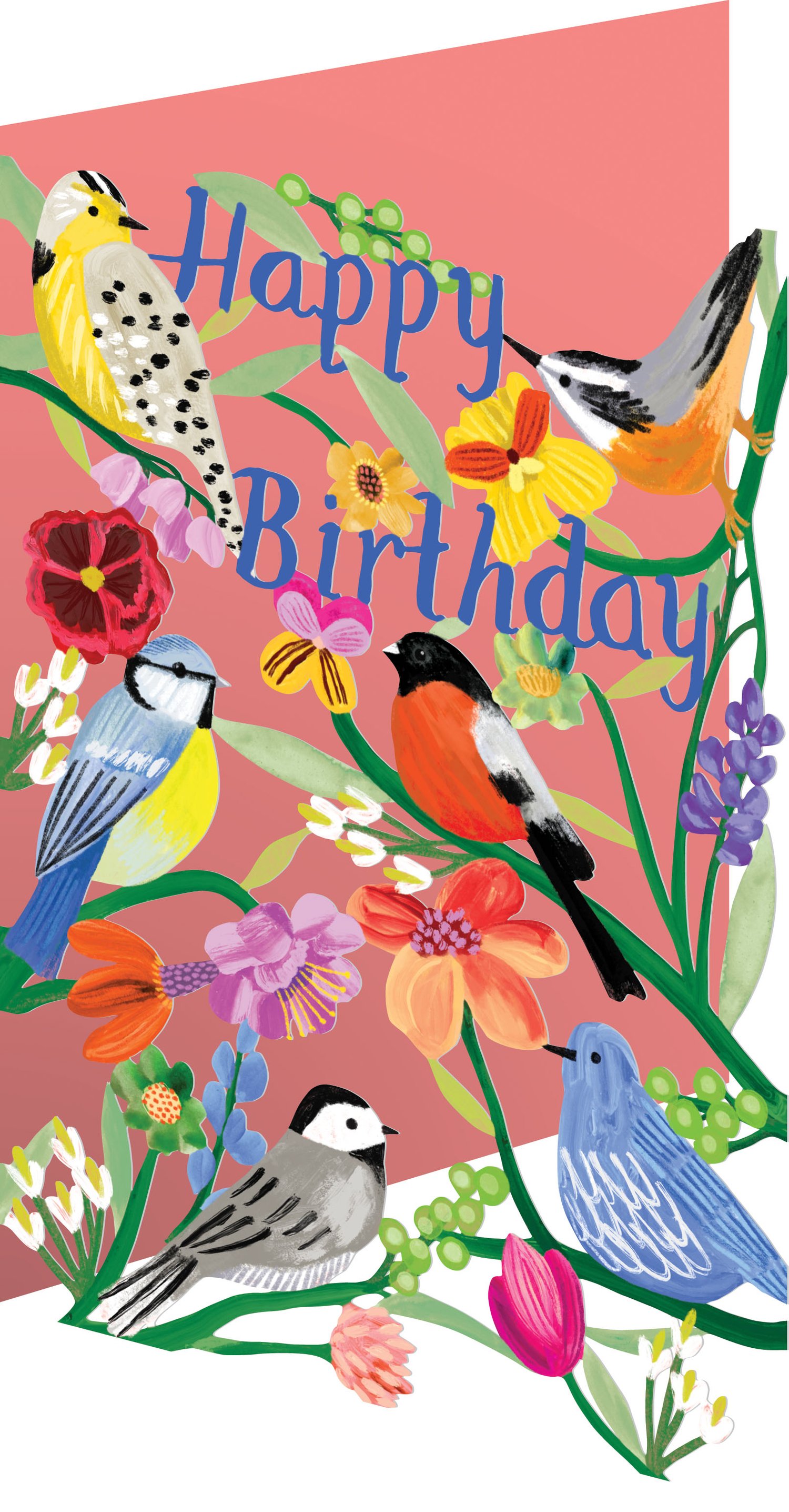 Image of Birds Birthday Card