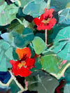 Nasturtiums Number 4