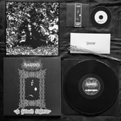 Image of Malign Hex – In Ruinous Euphoria 12" LP