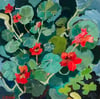 Nasturtiums Number 4