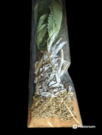 Image 1 of Healing and Relaxing Cleansing Bath Mix