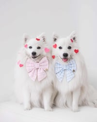 Image 1 of CUPID PINK SAILOR BOW