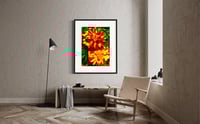 Image 3 of JIMMY'S MARIGOLDS (36X24)