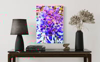 Image 2 of MYSTERIA WISTERIA (36X24)